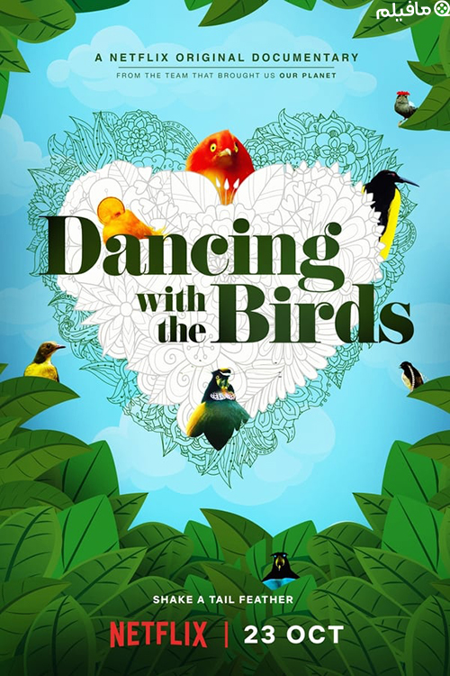 مستند رقص با پرندگان Dancing with the Birds 2019 با دوبله فارسی