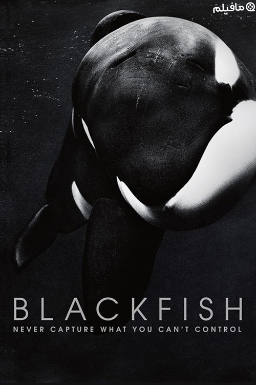 مستند ماهی سیاه Blackfish 2013 با زیرنویس فارسی